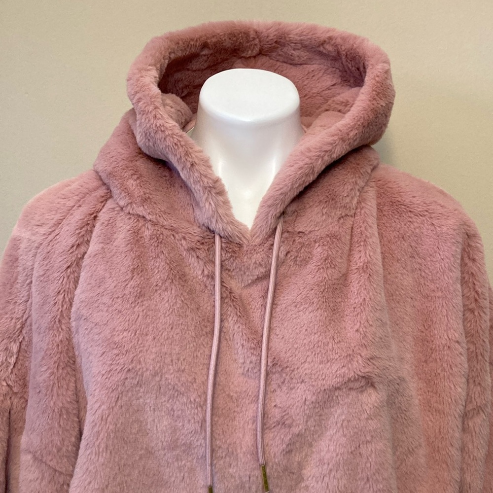 NWTđź’™ Express Super Soft Fuzzy Hoodie - Picture 5 of 14